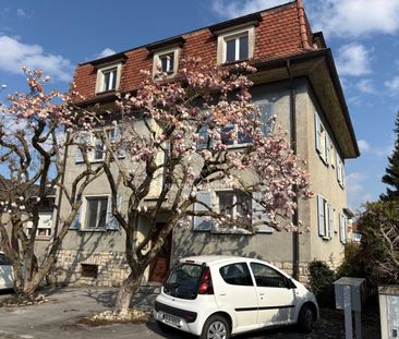 Appartement de 5 pièces avec garage et jardin à louer à Courgenay - Photo 4