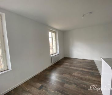 Location Appartement 2 pièces 38m² RABASTENS 81800 - Photo 1