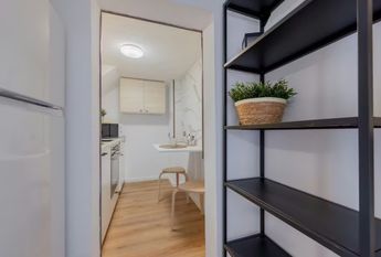 Via Montà, Padova, Veneto 35138