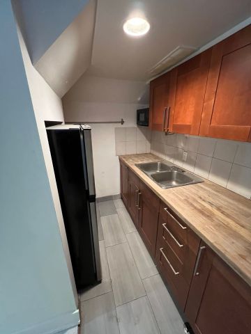 For Lease - 383 Lansdowne Avenue Unit# Bsmt, Toronto, Ontario - Photo 2