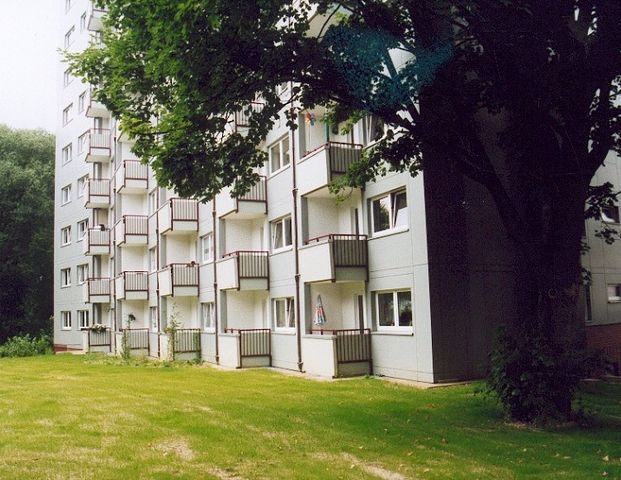 Demnächst frei! 3-Zimmer-Wohnung in Detmold Knochenbach - Foto 1