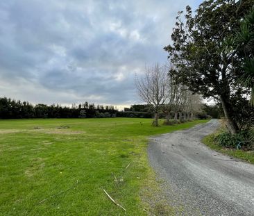 WHENUAPAI - Large 4 Bedrooms House - Photo 6