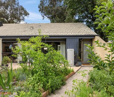 3M Tristania Street, Rivett ACT 2611 - Townhouse For Rent | Domain - Photo 5