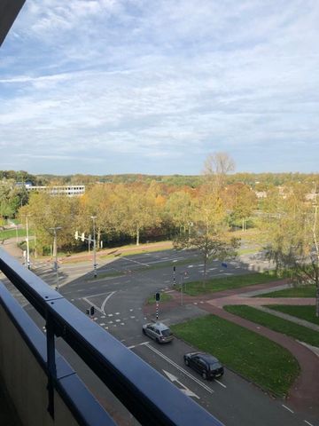 Room Arnhem - Gildemeestersplein - Photo 5