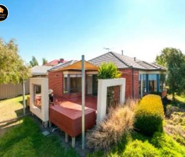 8 Parramatta Walk, Craigieburn VIC 3064 - Photo 6