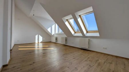 NEU - Lichtdurchflutetes Dachstudio mit Top-Anbindung nahe Donaukanal - Photo 4