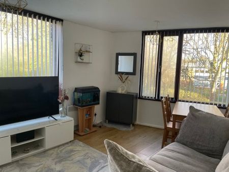 Parklands Gardens, Walsall, WS1, Property for rent - Photo 5