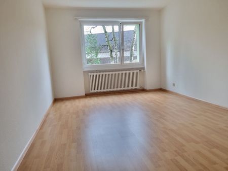 Beautiful apartment in Olten - Photo 2