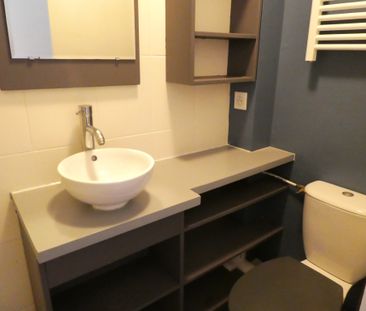 Location Appartement 2 pièces 24m² AVON 77210 - Photo 5