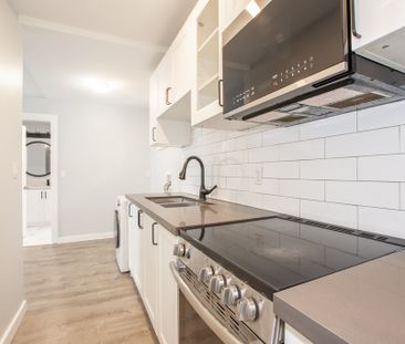 **BEAUTIFUL** 1 BEDROOM MAIN UNIT IN HAMILTON!! - Photo 5
