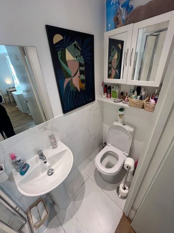 Studio Flat, Norwich Road, E7 - Photo 4