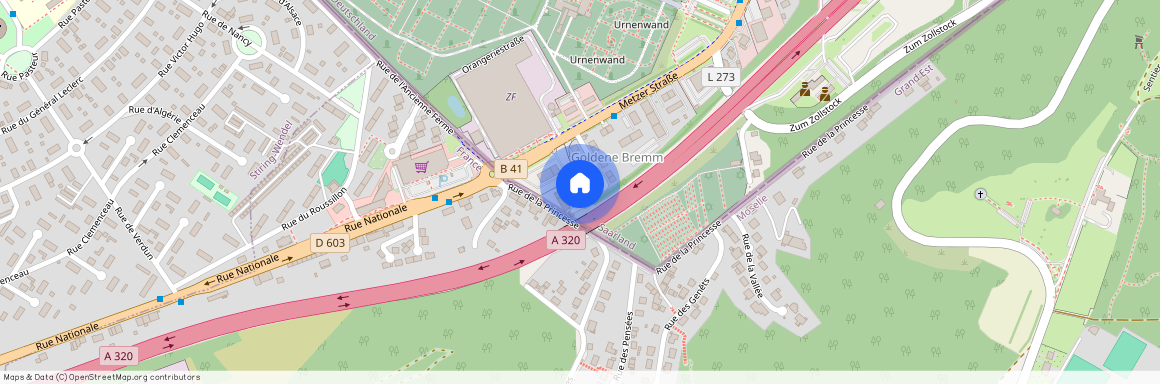 Bei der Goldenen Bremm 16, 66117 Saarbrücken-Mitte - Alt-Saarbrücken