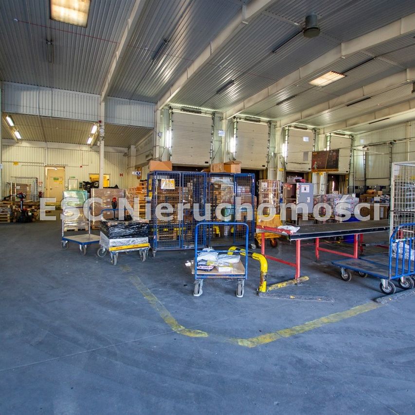 Piła, Zamość - Фото 1