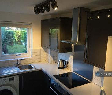 2 bedroom semi-detached house to rent - Photo 4