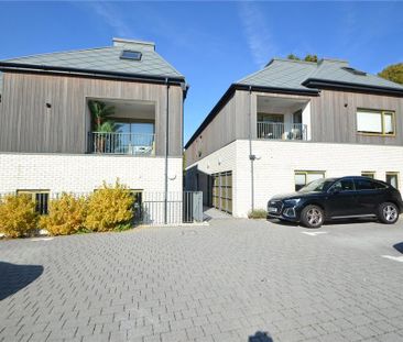 3 bedroom apartment to rent - Photo 3