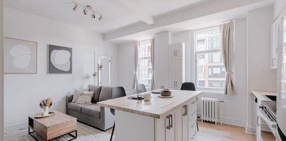 Appartement 4 ½ à louer Montcalm / Saint-Sacrement juillet 2026 - Photo 2