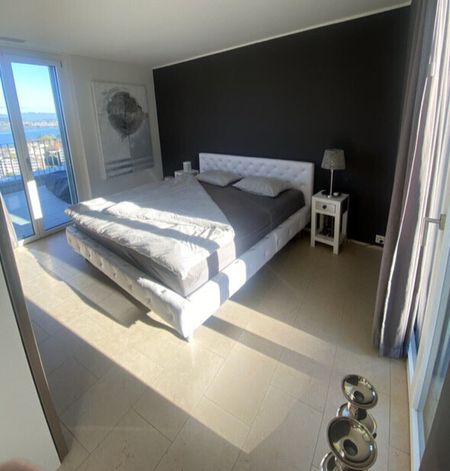 21/2 ROOM ATTIC APARTMENT IN WÄDENSWIL (ZH), FURNISHED, TEMPORARY - Photo 3
