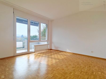 LUMINOUS 3.5 ROOMS IN MORBIO INFERIORE - Photo 4