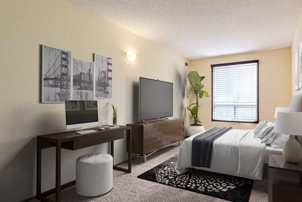 Renovated Suite - 1 Bedroom - Photo 1