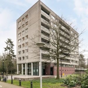 Magentahof 0ong, 5044 SJ Tilburg, Nederland - Foto 2