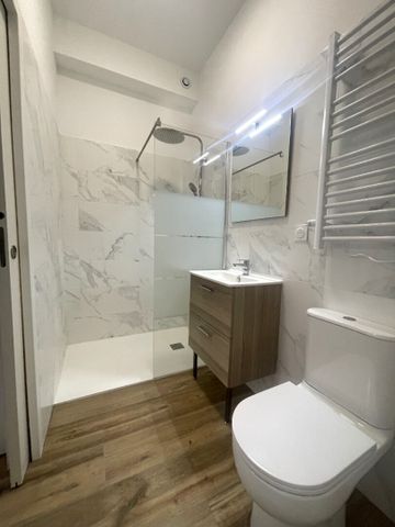 Location Appartement 1 pièce 17m² - Photo 4