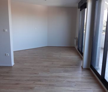 TOULOUSE/ COMPANS - Photo 4