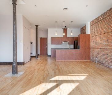 Appartement à louer - Montréal (Ville-Marie) (La Cité du Multimédia) - Photo 6