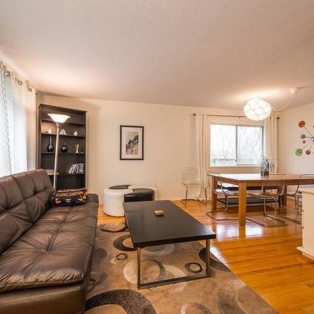 Great Three Bedroom, Super Close to UVic, May 1, 25 to April 30, 26 - Photo 4