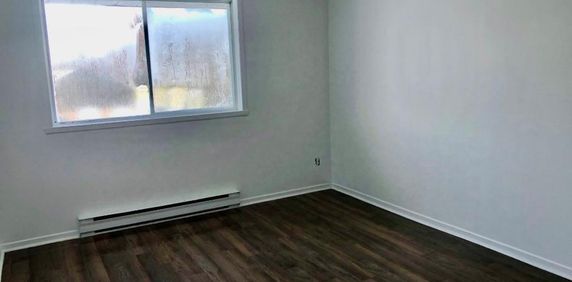 Logement 4 1/2 à louer à St-Rémi - Photo 2