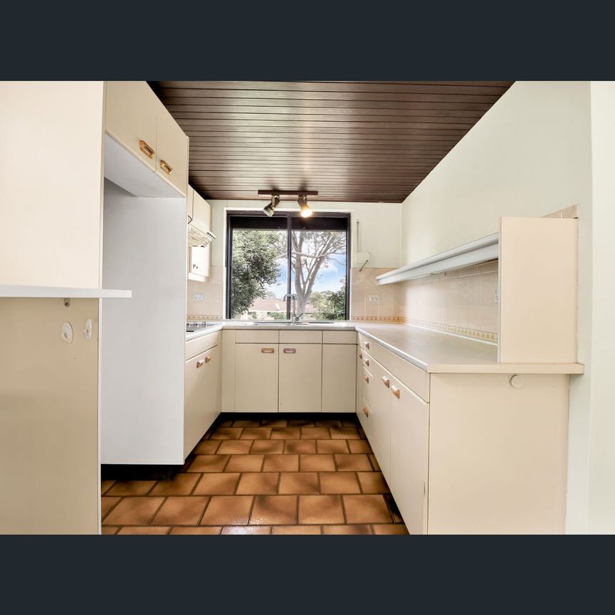 242 Windsor Road, Baulkham Hills, NSW 2153 - Photo 1