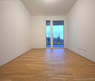 südseitige Gartenwohnung, 2 Zimmer, Garage möglich I befristet - Foto 3