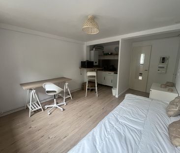 Location Appartement 1 pièce 20m² TOULOUSE 31500 - Photo 3