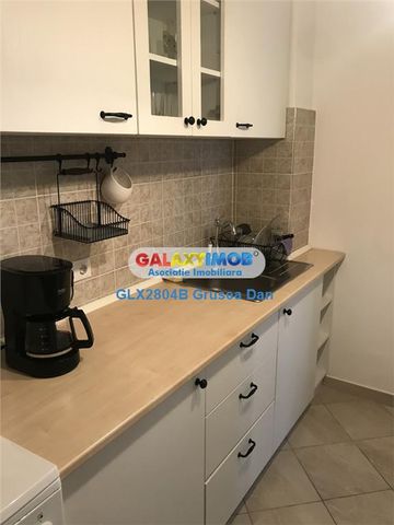 Apartament 3 Camere Birou Pet Friendly Drumul Taberei G 388 - Fotografie 2