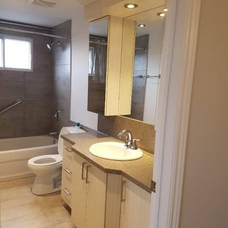 5 1/2 MARS OU AVRIL - Photo 4