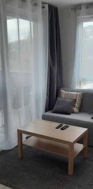 Location Appartement 1 pièce 34m² L ETRAT 42580 - Photo 1