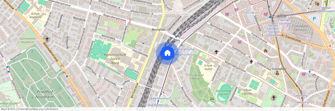 8050, Zürich, Hofwiesenstrasse, 299