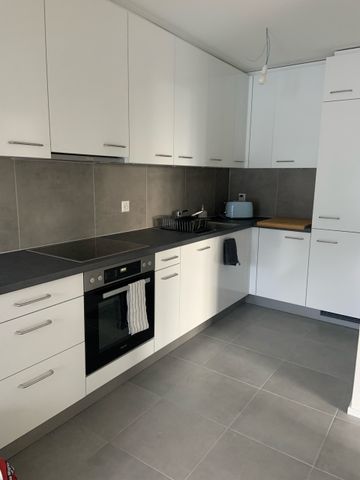 Mouson 1, Marin - Photo 5