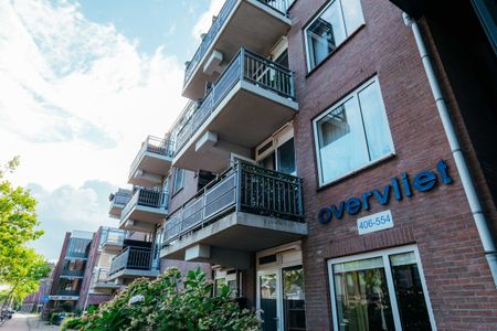 Zuidvliet 536 - Photo 3