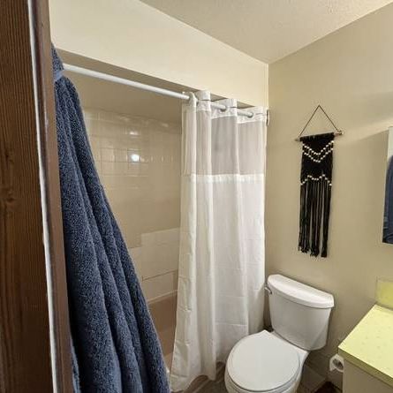 Large Quiet 1 Bedroom apartment in North Burnaby! - Photo 4