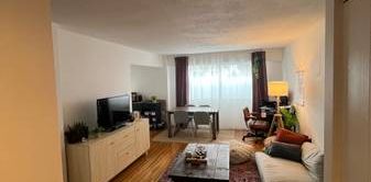 Large pet friendly 1 BED - Photo 2