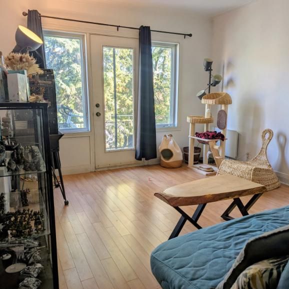 4 1/2 - Montréal (Ahuntsic) - 1 750 $/mois - Photo 1