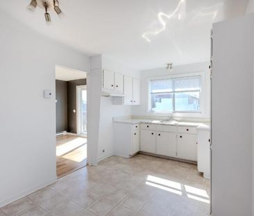 Appartement 4 ½ à louer Lévis novembre 2025 - Photo 4