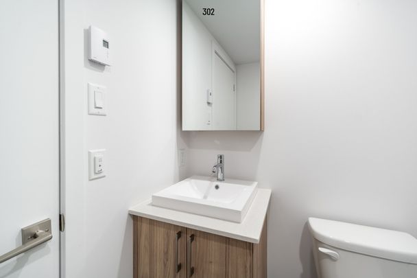 Condo for rent, Montréal (Rosemont/La Petite-Patrie) - Photo 1