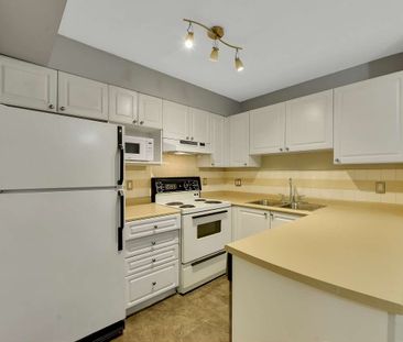 235 E 19th Ave #101 - Photo 6