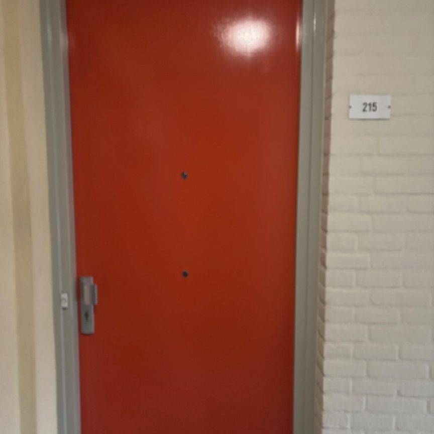 Ruim 55+ appartement met 2 slaapkamers - Foto 2