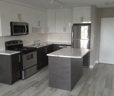 1 Humber Court — 1 Bedroom Deluxe - Photo 2