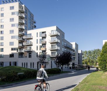 1 værelses – Munkebjergvænget 66, 3. lejl. 2 – Odense M - Photo 1