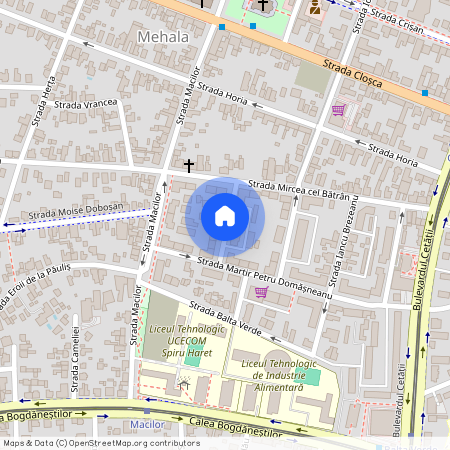 Strada Martir Spiru Blănaru, Mehala, Timișoara, Timiș, 300351, România, Mehala