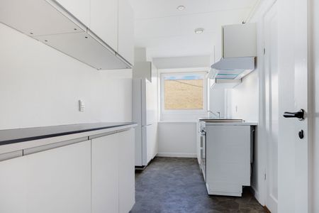 Ane Dams Gade 9, 1 th - Photo 5