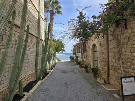 Studio/Γκαρσονιέρα για ενοικίαση Παράλιο Άστρος (Βόρεια Κυνουρία) - Photo 5